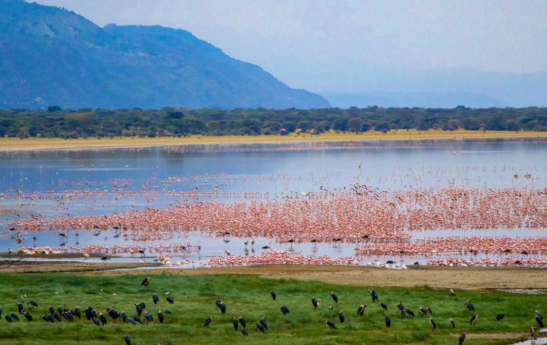 5-Day Mid Range Classic of Tanzania