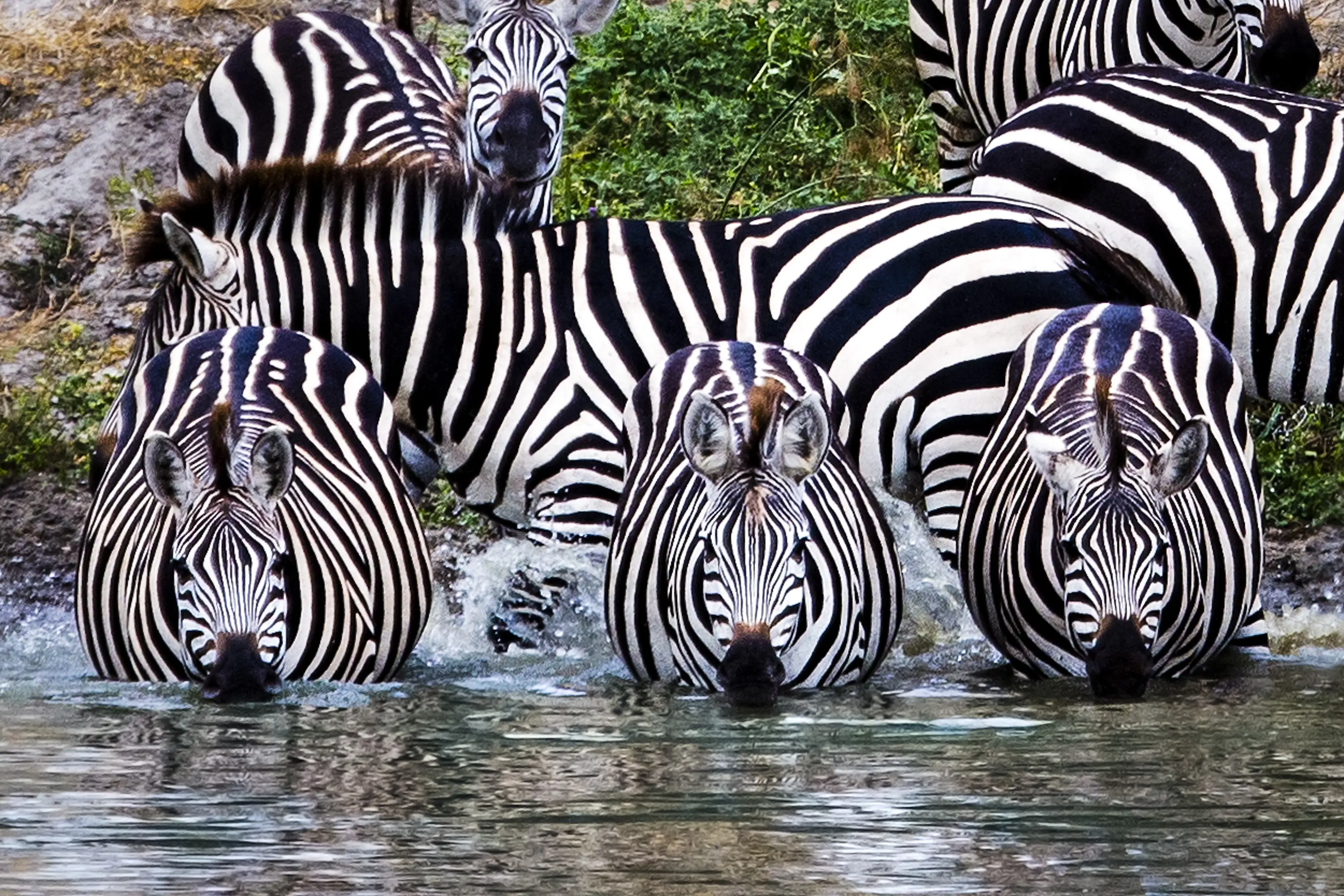 4-Day Tarangire Ngorongoro & Southern Serengeti (Ndutu)
