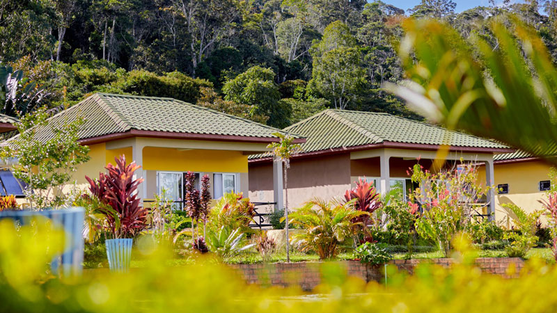 Lemur's Lodge