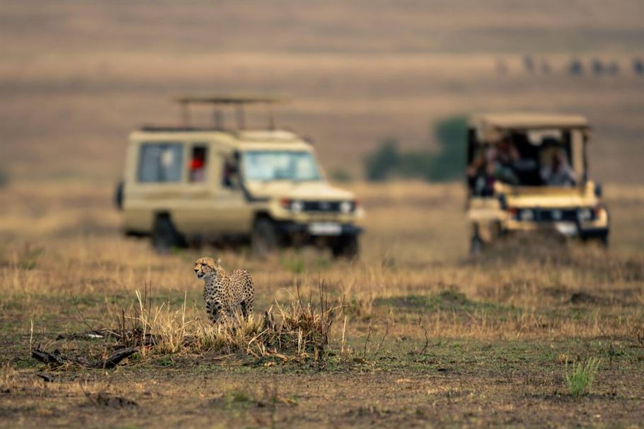 4-Day Tanzania Mid-Range Serengeti Migration Safari