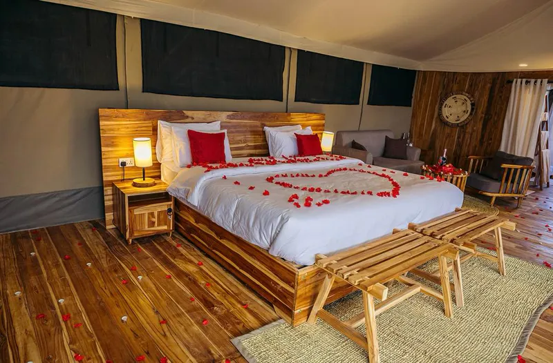 6 Days Tarangire, Serengeti and Ngorongoro Crater (Luxury Level)