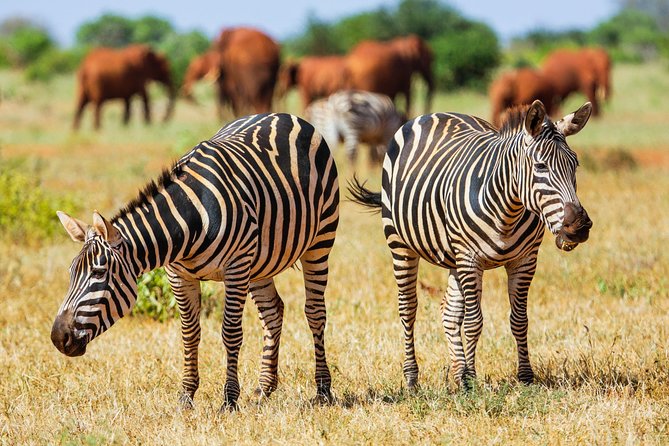 5 Days Safari Adventure (Tsavo East & West)