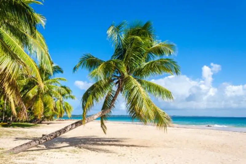 10-Day Serengeti and Zanzibar Luxury Safari and Beach Getaway