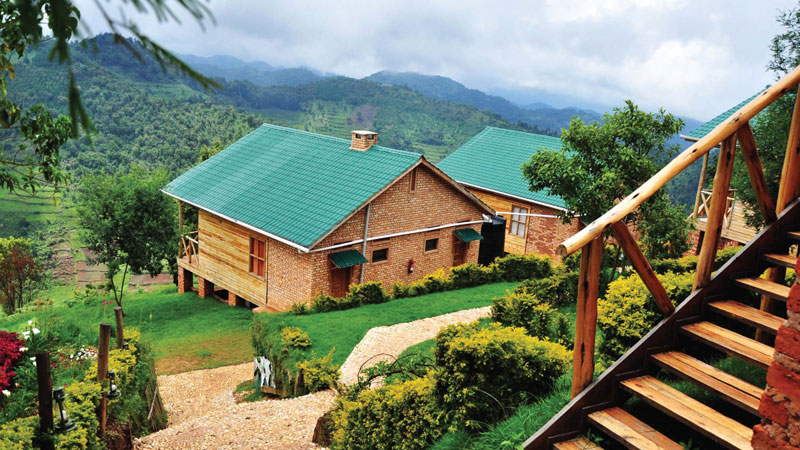 Ruhija Lodge