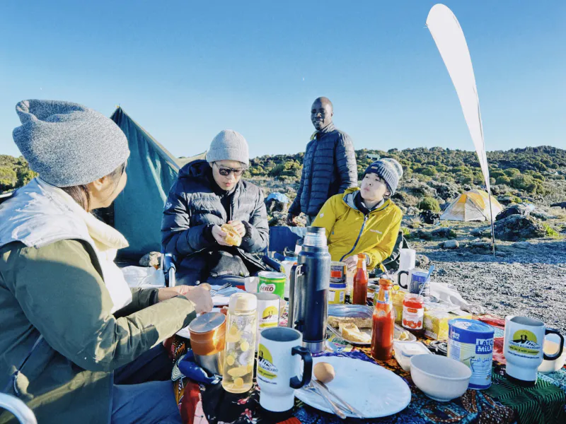 8-Day Rongai Route Kilimanjaro Climbing (Affordable)