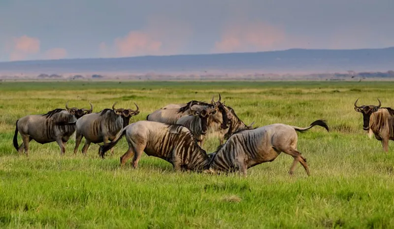 7-Day Adventurous Safari Exploring The Natural Beauties Of Rift Valey