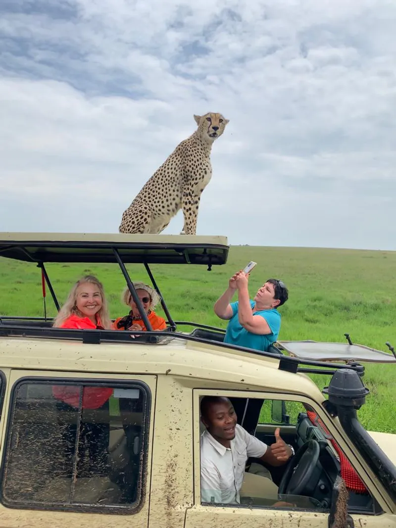 Love in Serengeti - All-inclusive 7-Day Romantic Safari