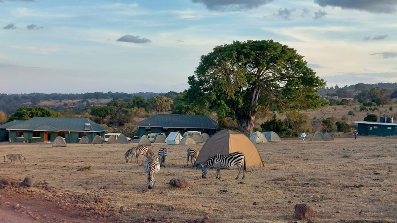 Ngorongoro Simba Campsite
