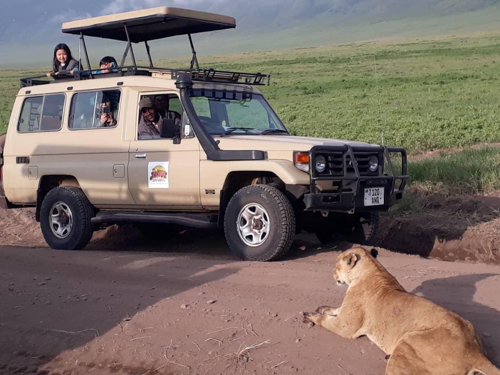 3- Day fly in Midrange Safari to Serengeti and Ngorongoro - Januz Safaris - Safarigo