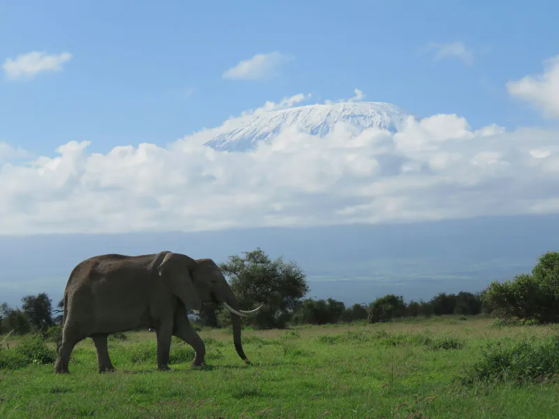 5-Day Mount Kilimanjaro Uhuru Peak Trek – Classic Marangu Route