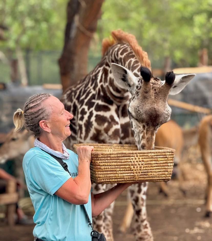 Ayasophia Wildlife Experience – Mehrtägige Reise (Aufenthalt in einer Luxusvilla)