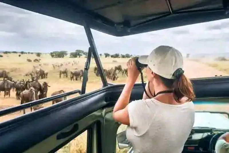 5 Days of Wildlife Magic – Amboseli, Lake Nakuru & Masai Mara Safari