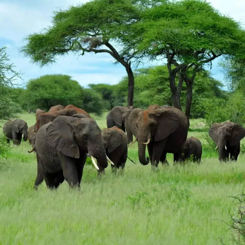3-Day Wildlife and Cultural Experience in Tanzania
