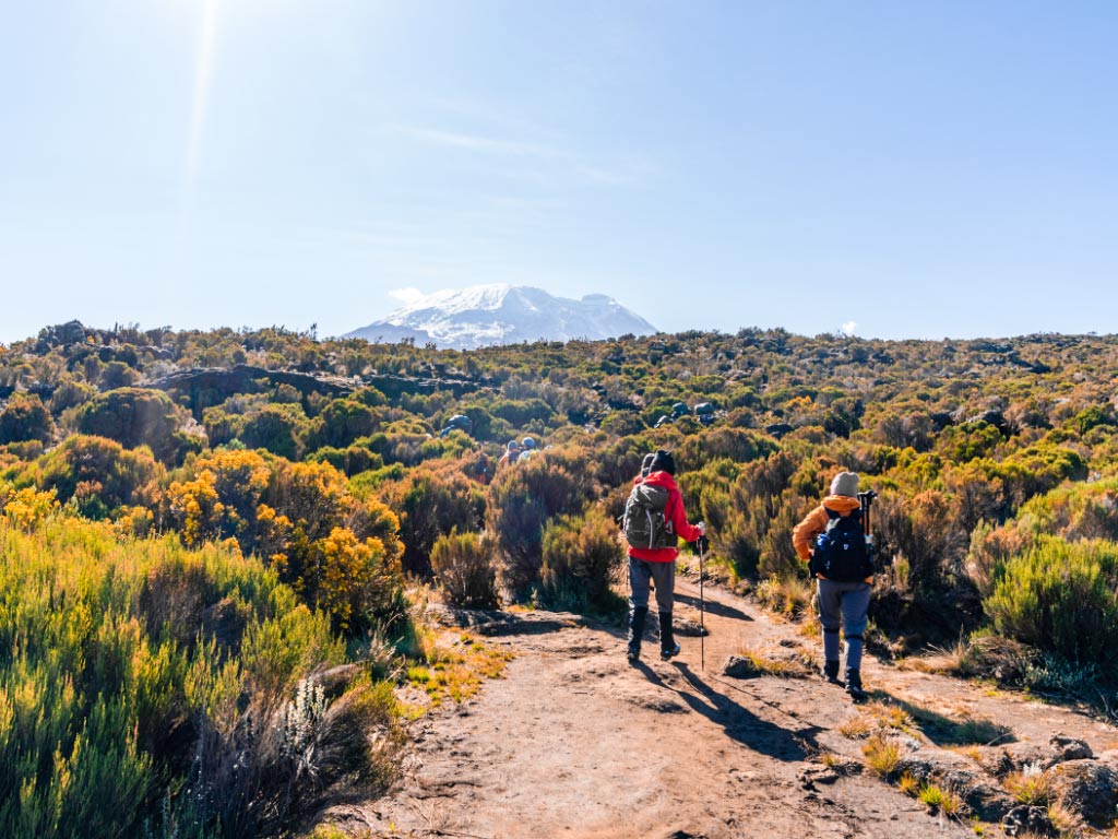9-Day Mount Kilimanjaro Climb Through Northern Circuit route