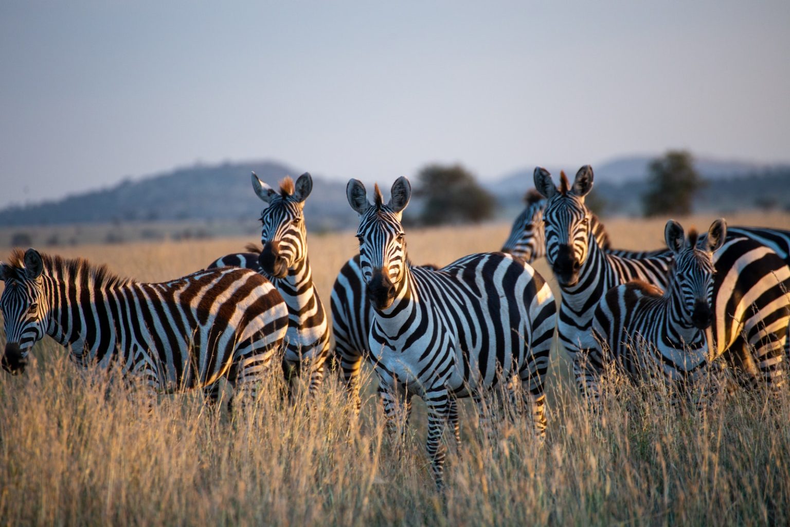 7-Day Beautiful Luxury Adventure - Private