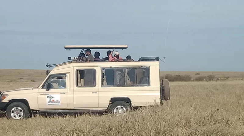 6-tägige Luxus-Safari in Kenia