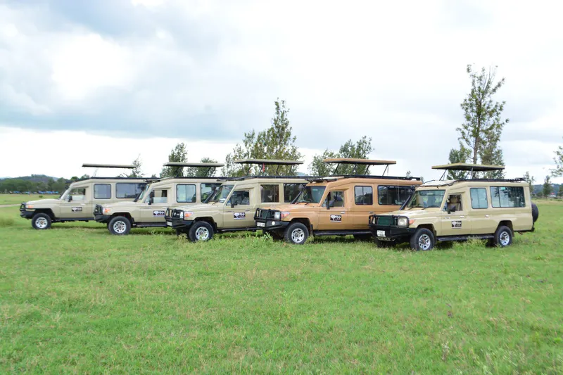 3-Day Short Camping Safari to Ngorongoro & Serengeti