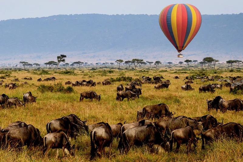 9-Day Witness Great Migration Safari in Serengeti