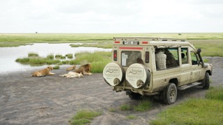 8-Days Great Migration River Crossing Safari - Utopia Safaris  - Safarigo