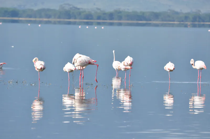 1 Day Hiking/Walking & Game Safari Arusha National Park