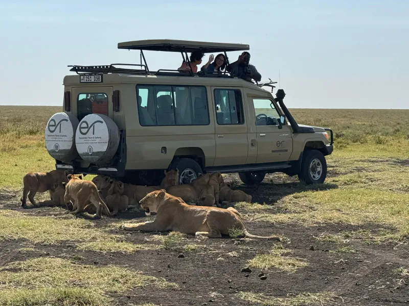 6 Day Special Calving of the Wildebeest Safari
