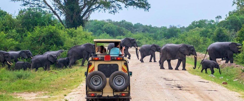 6-Day Luxury Safari Tarangire, Ngorongoro, Serengeti