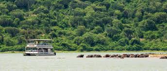 5-Days Uganda Gorilla, chimp & Wildlife safari
