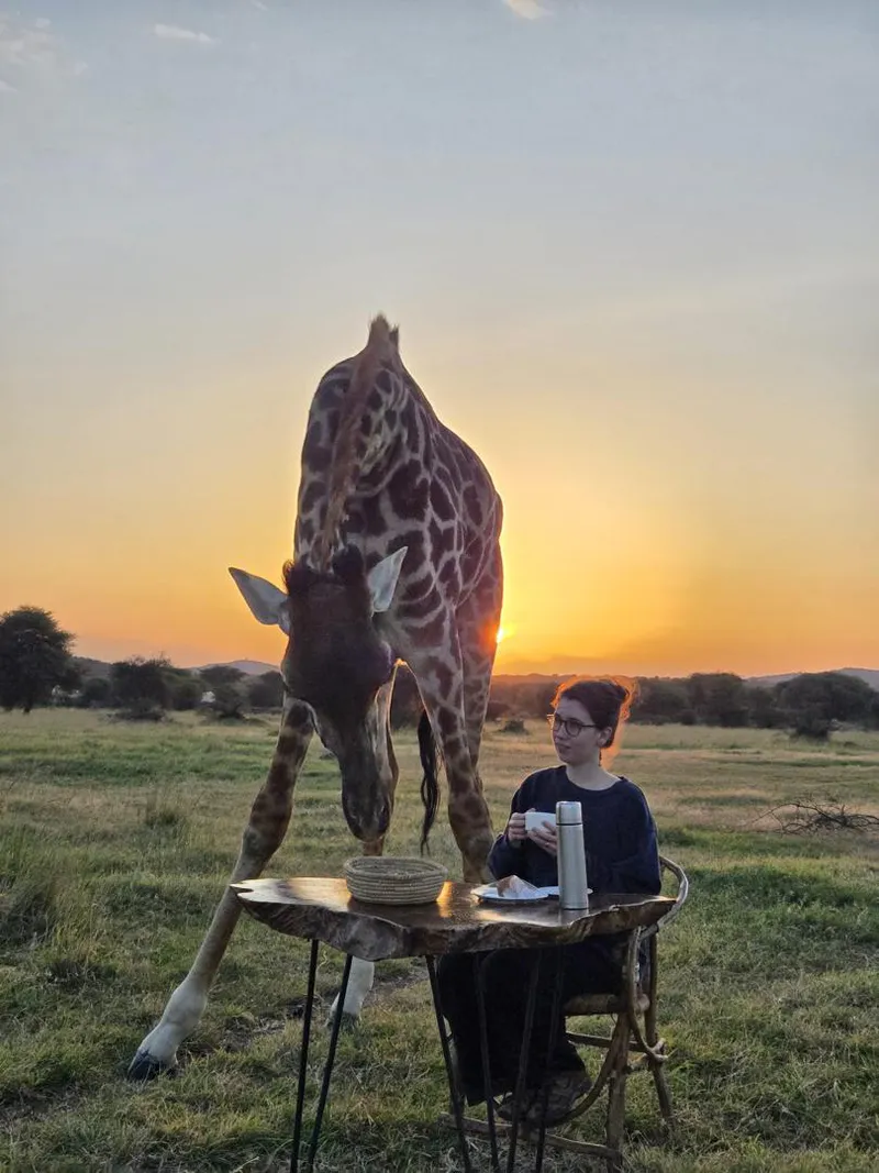 Serval Wildlife Experience – Reise mit Übernachtung