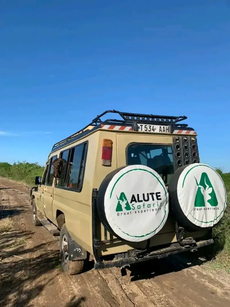 5 day classic Mikumi and Nyerere safari