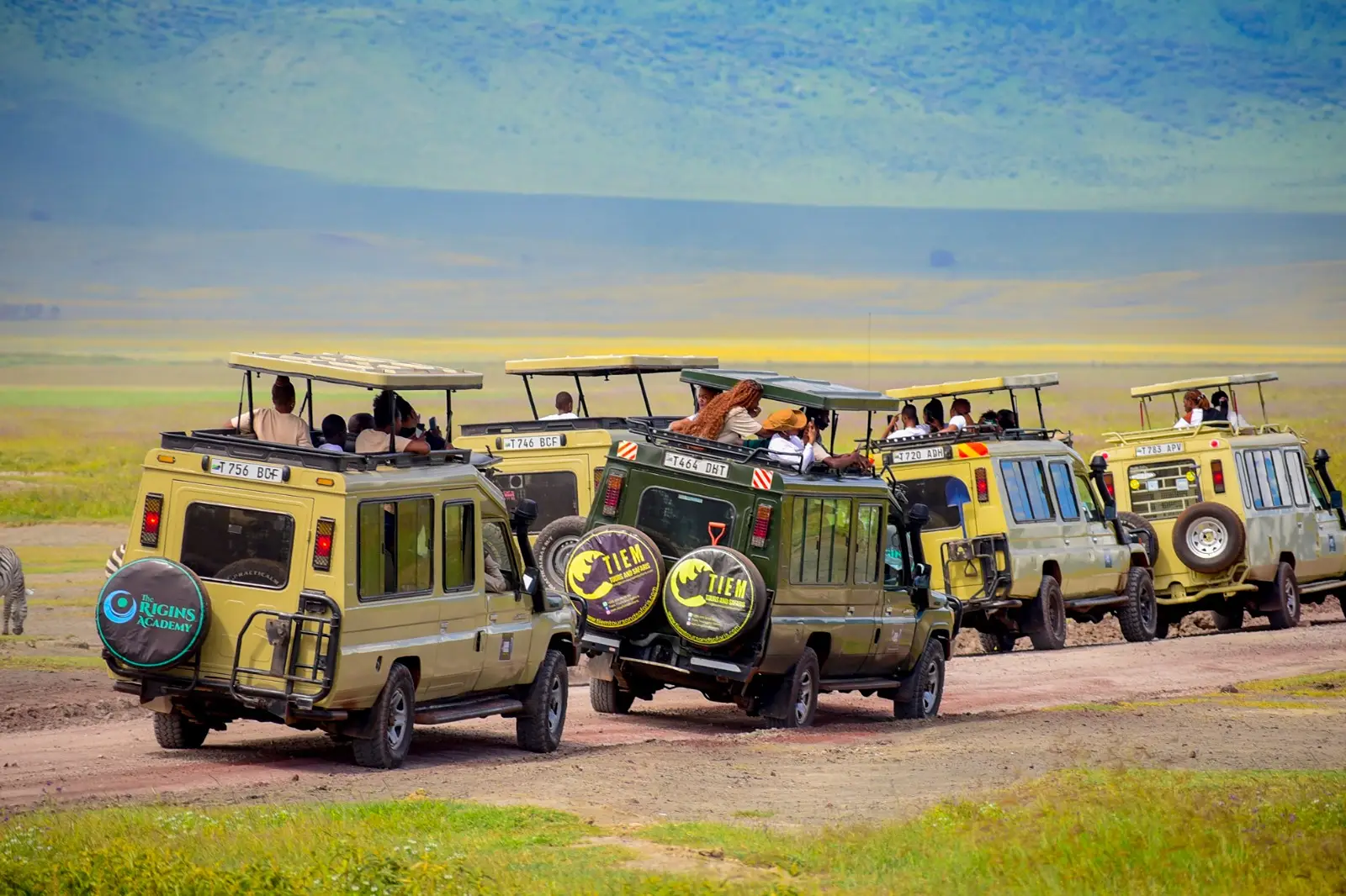 8 Days Tarangire, Serengeti and Ngorongoro Crater