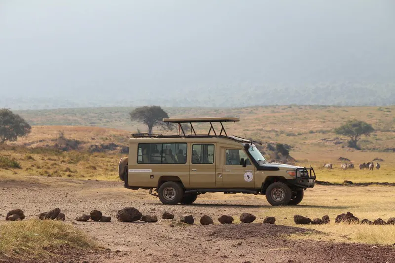 8 days great migration safari