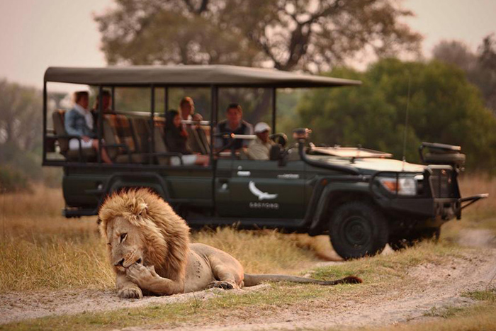 4-Day Night Game Drive Mid Range Sere-Ngorongoro-Manyara