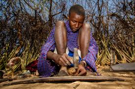 3-Day Night gamedrive in Tarangire National Park and Cultural Experience