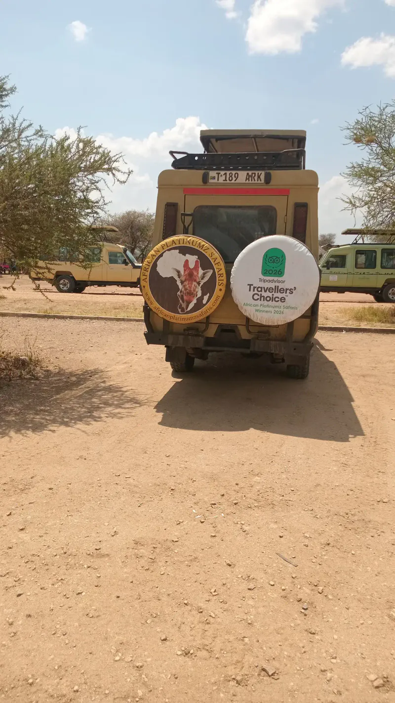 4-Day Tarangire, Ngorongoro, Serengeti & Mto Wa Mbu Tour