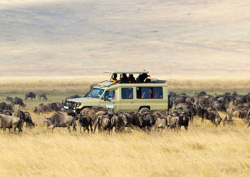 11-Day Exploring Kenya & Tanzania Unique Heart of Africa 