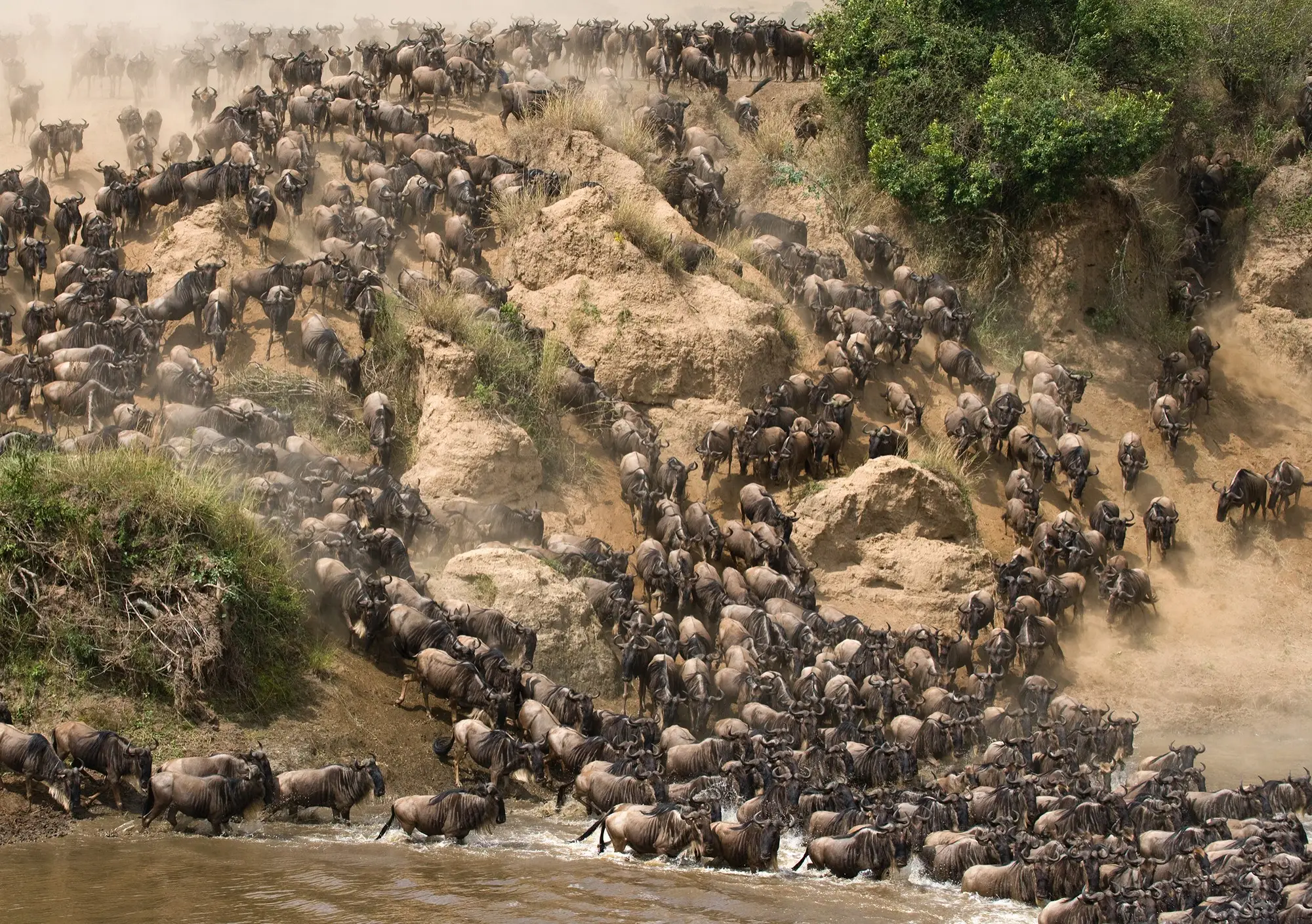 4-Day Lake Naivasha & Masai Mara Wildlife Safari