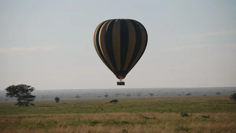 4-Day Wild North Safari Programme