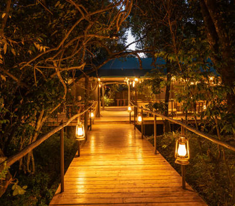 5 Days Samburu and Masai Mara Luxury Flyin Safari