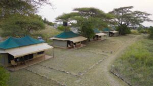 4 Day Mid-Range Lodge and 1 Night Camping Safari