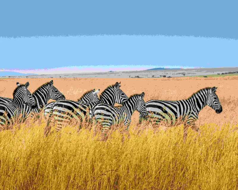 12-Day Best Kenya and Tanzania Group Safari Package