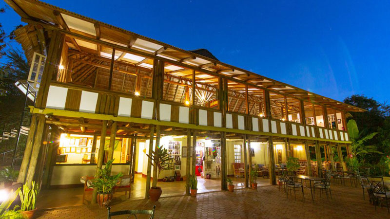 Eileen's Trees Inn