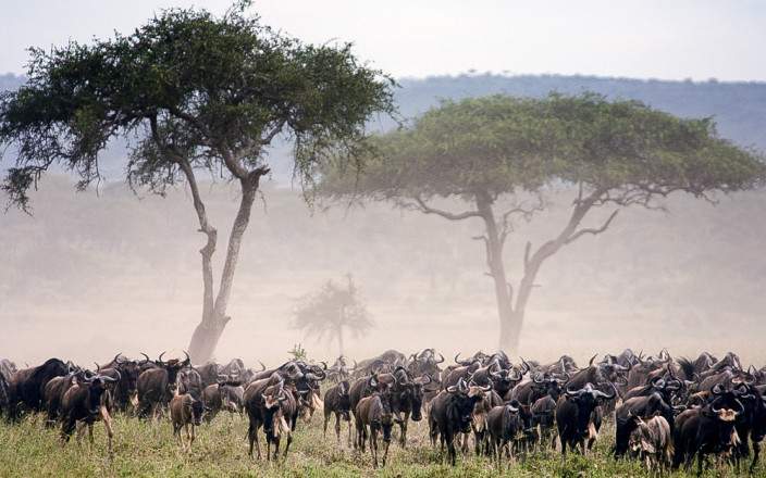 3-Day National Park and Cultural Tour