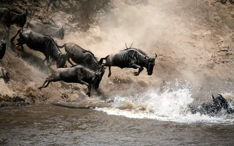 3 Day Masai Mara Reserve Safari