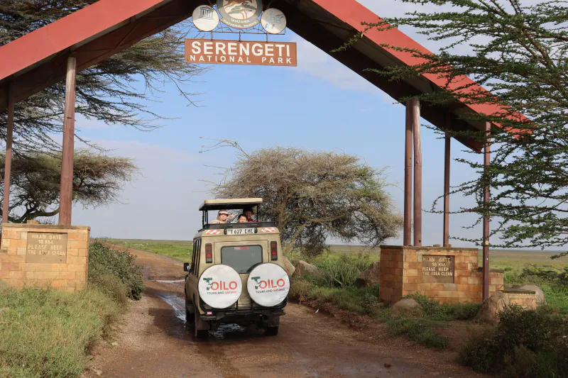 7 Days Migration Safari, Tarangire, Serengeti, Ndutu and Ngorongoro crater, Lake Manyara (Program for December to March)
