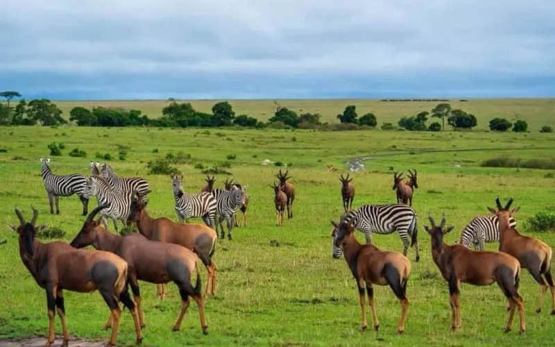 4_Day The Memorable Experience with Luxury Accommodation