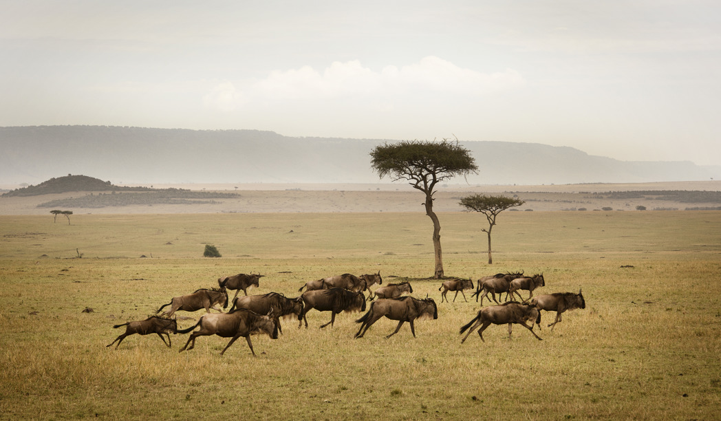 4-Day Classic Tour to Tarangire, Serengeti & Ngorongoro - SUNDOWN AFRICAN ADVENTURES LTD - Safarigo