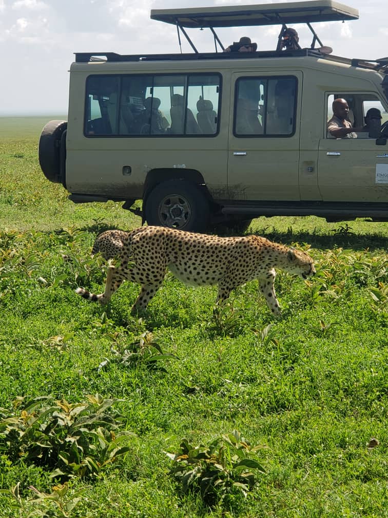 4-Day Classic Tour to Tarangire, Serengeti & Ngorongoro - SUNDOWN AFRICAN ADVENTURES LTD - Safarigo