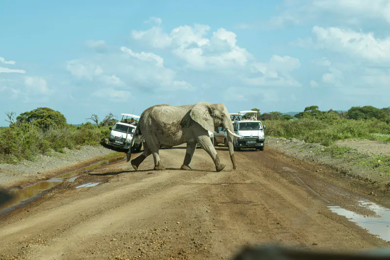 6-Day: Kenya Safari & Beach Holiday