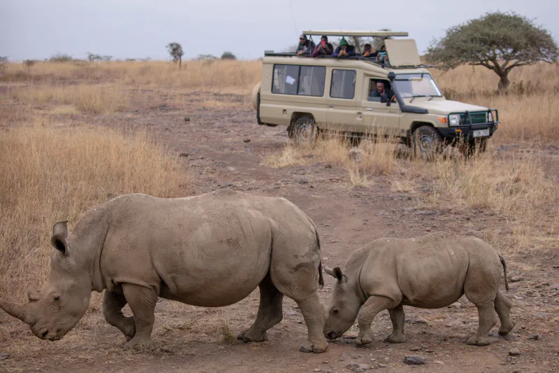 5 Days Big Five Safari to Tarangire, Serengeti & Ngorongoro Crater