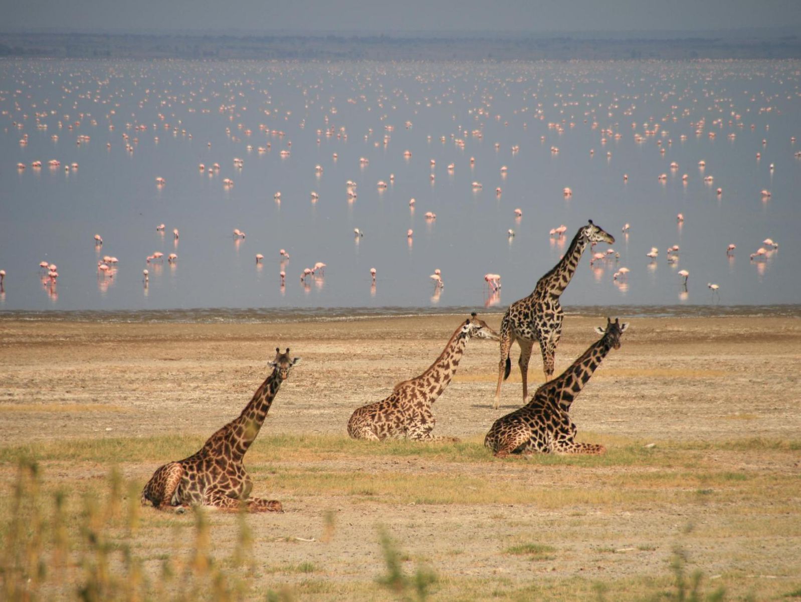 3- Day Tanzania Tour Package